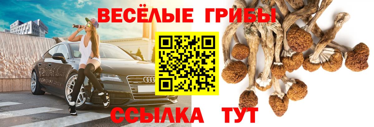 Галлюциногенные грибы MAGIC MUSHROOMS  купить наркотик  Псилоцибиновые грибы GOLDEN TEACHER  Великий Устюг  Вход с VPN 