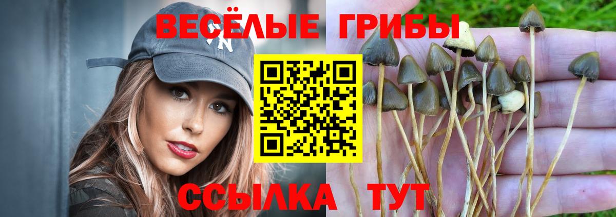 Галлюциногенные грибы Magic Shrooms Великий Устюг